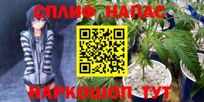 прущие грибы Гусев