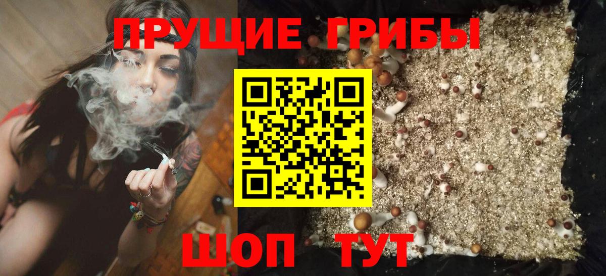 Галлюциногенные грибы ЛСД Геленджик