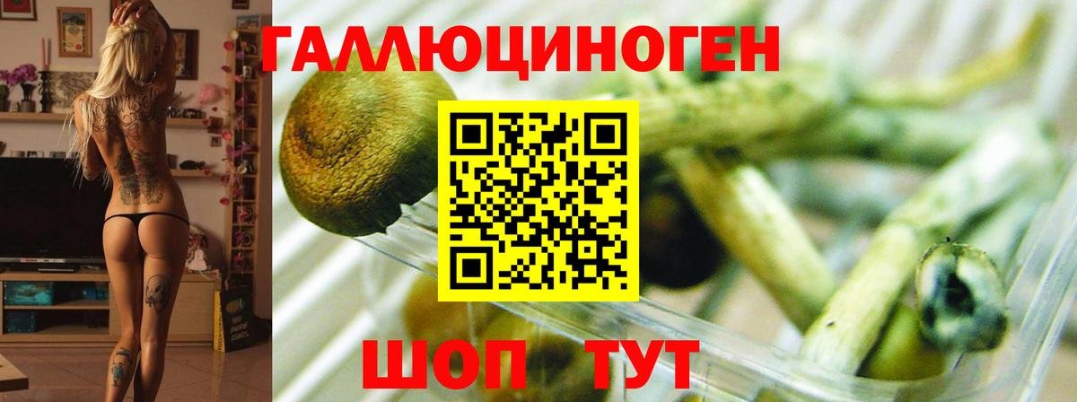 Геленджик  Галлюциногенные грибы мицелий  Вход с VPN 